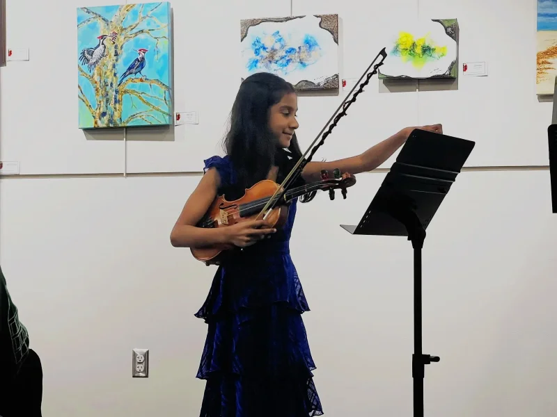 Music Joyful Strings Studio Violin & Viola Lessons for kids in 12566 Garland Tree Ct, Fairfax, VA 22033.