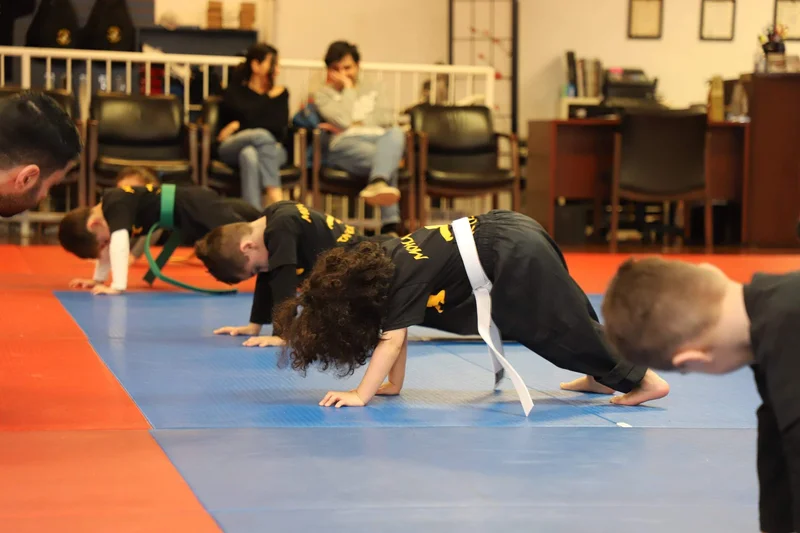 Sports Little Dragons Class for kids in 11226 Waples Mill Rd Fairfax VA United States 22030.