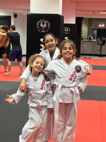 Sports Wolf MMA Summer Camp for kids in 7799 Leesburg Pike, Suite 110, Falls Church, VA.