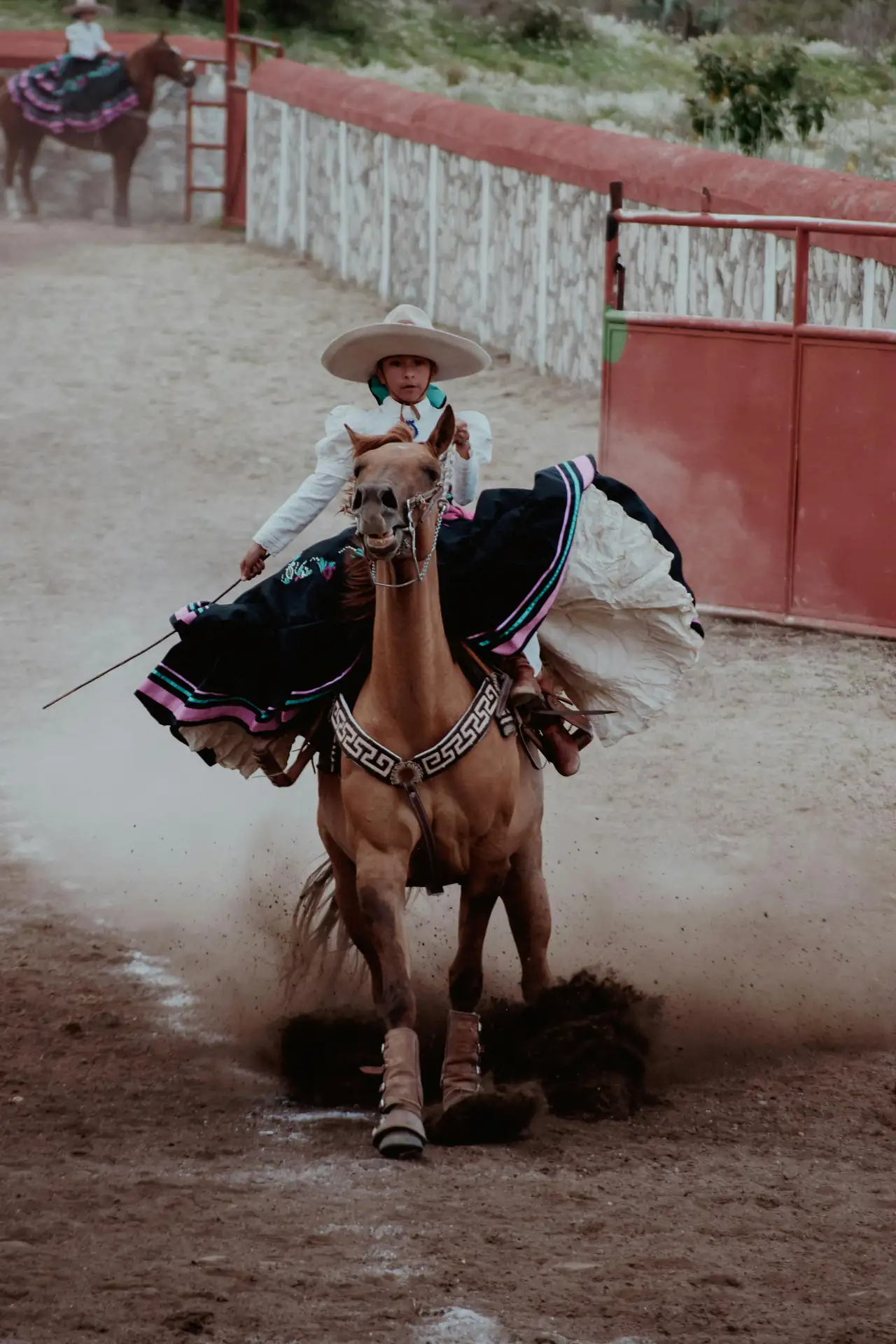 Equine Horsemanship Class for kids in 4829 Switch Willo, Austin, TX 78727, United States.