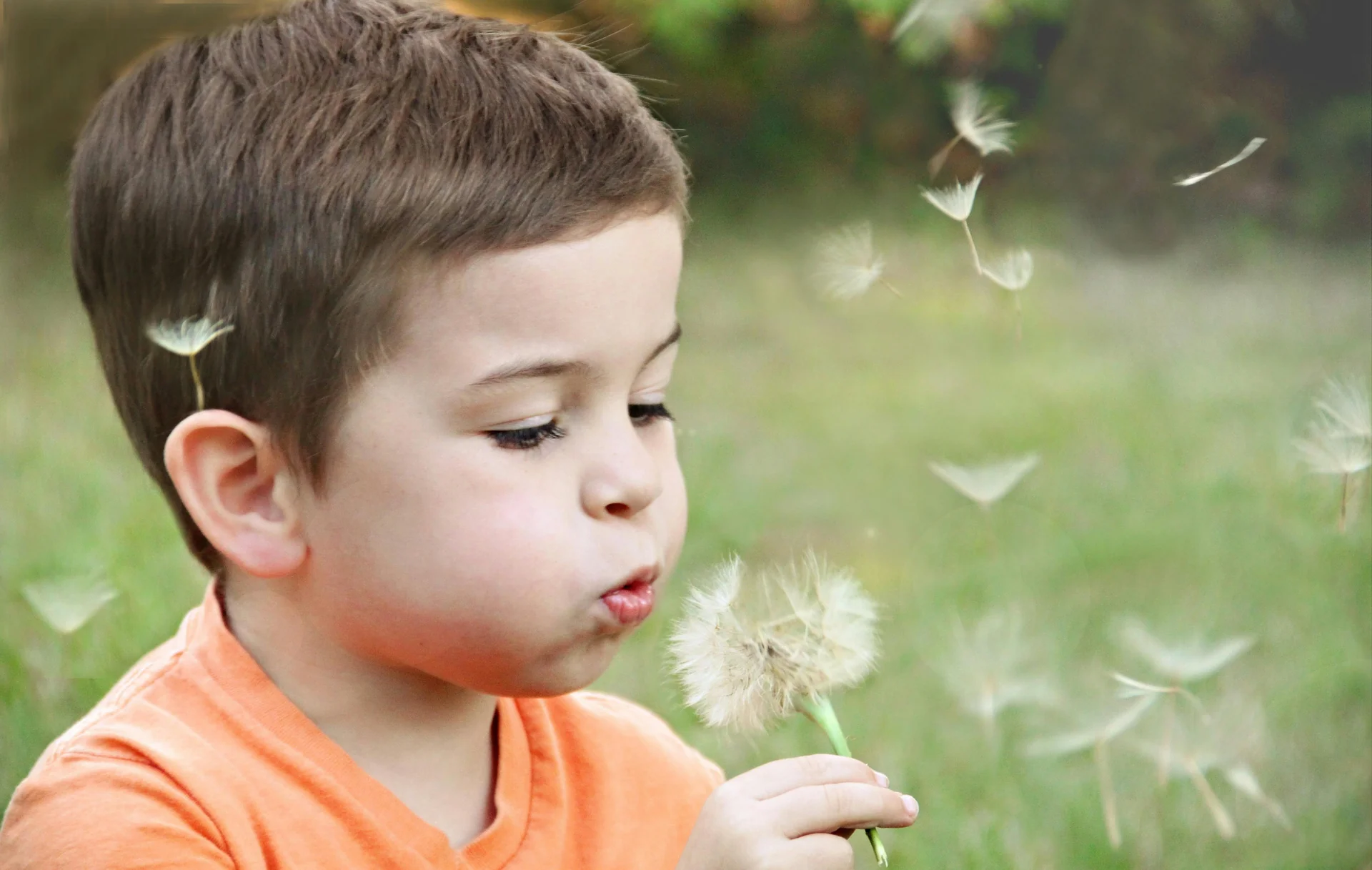 Nature ABC Montessori Daycare for kids in 43682 Lucketts Bridge Cir, Ashburn, VA 20148, USA.