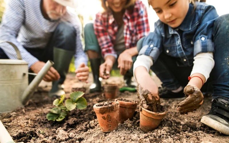 Nature School Garden Programs for kids in 2936 N Southport Ave, Chicago, IL 60657, United States.