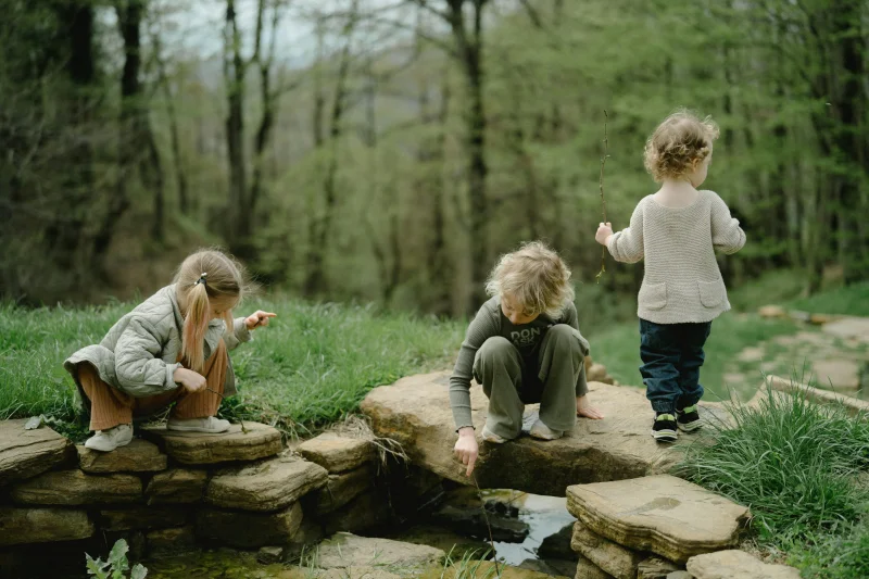 Nature Family Workshops for kids in 2058 2156 N Cannon Dr, Chicago, IL 60614, United States.